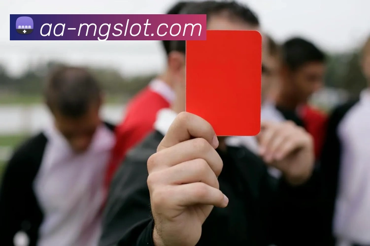 MG电子游戏官网发展历程